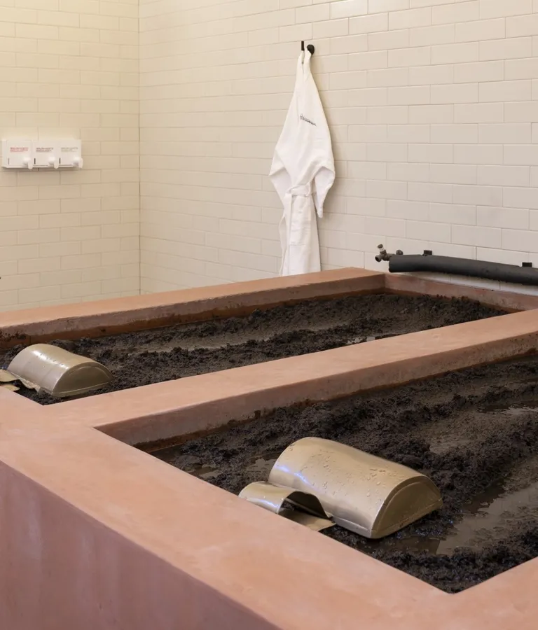 Dr Wilkinsons Backyard Resort And Mineral Springs Theme Box 01 Well Being