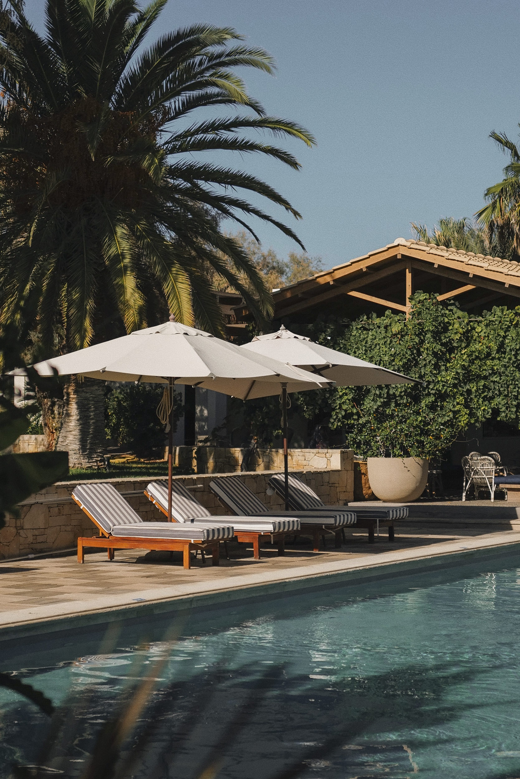 G 14 Phaea Cretan Malia