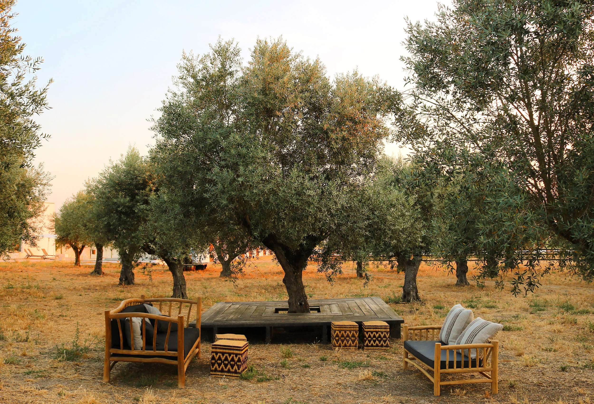 G 37 Torre De Palma Wine Hotel