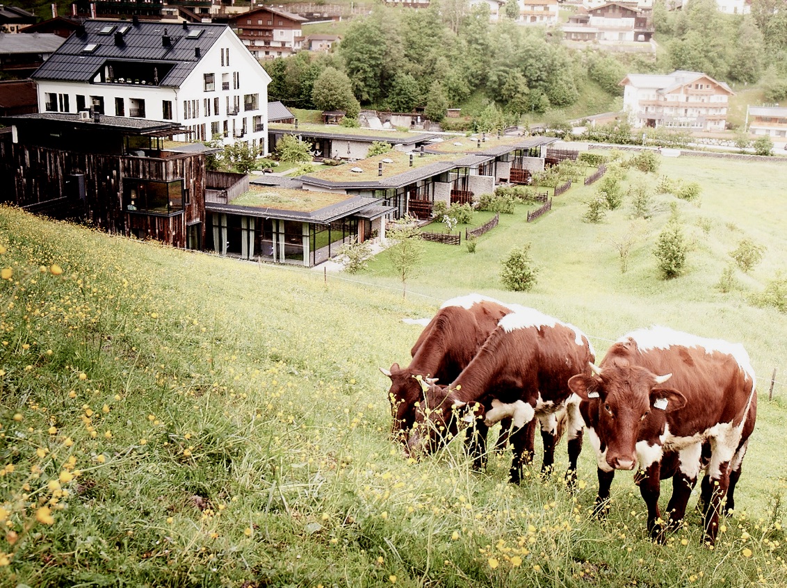 05 Farm To Table Wiesergut 1