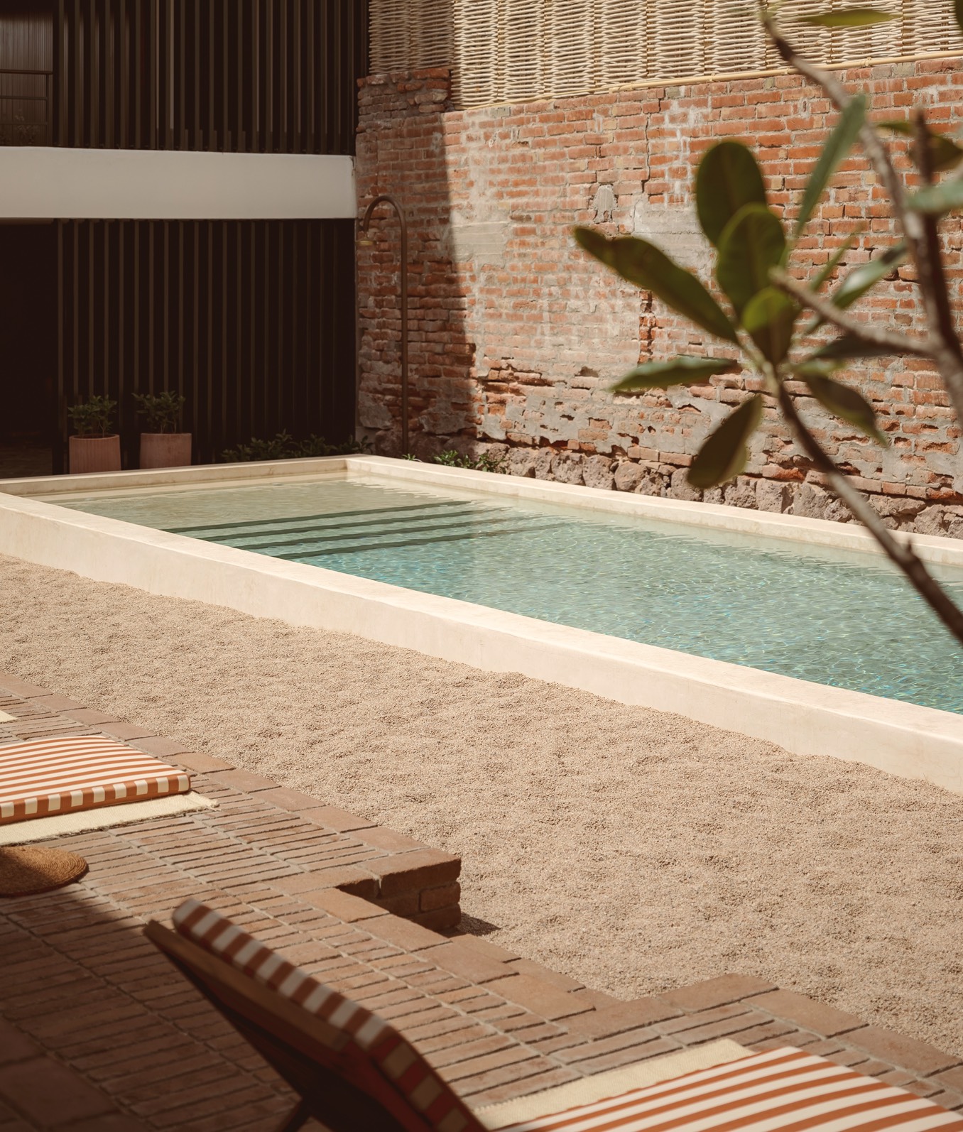 Baja Club Theme Box 01 Rejuvenate 1