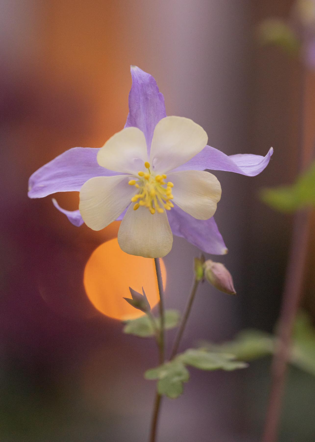 DH SALES23 CE Berlin 18