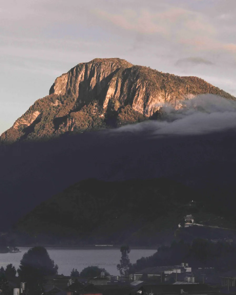 01 The Arcadia Place