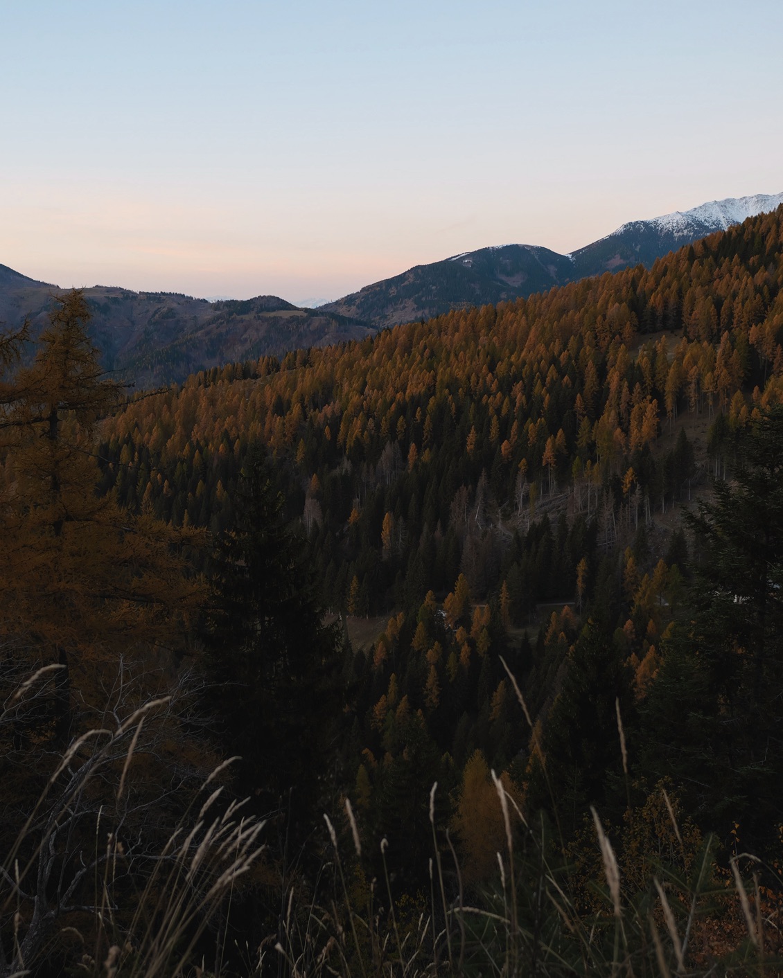 20 Destination South Tyrol Mountain Forest Sundown