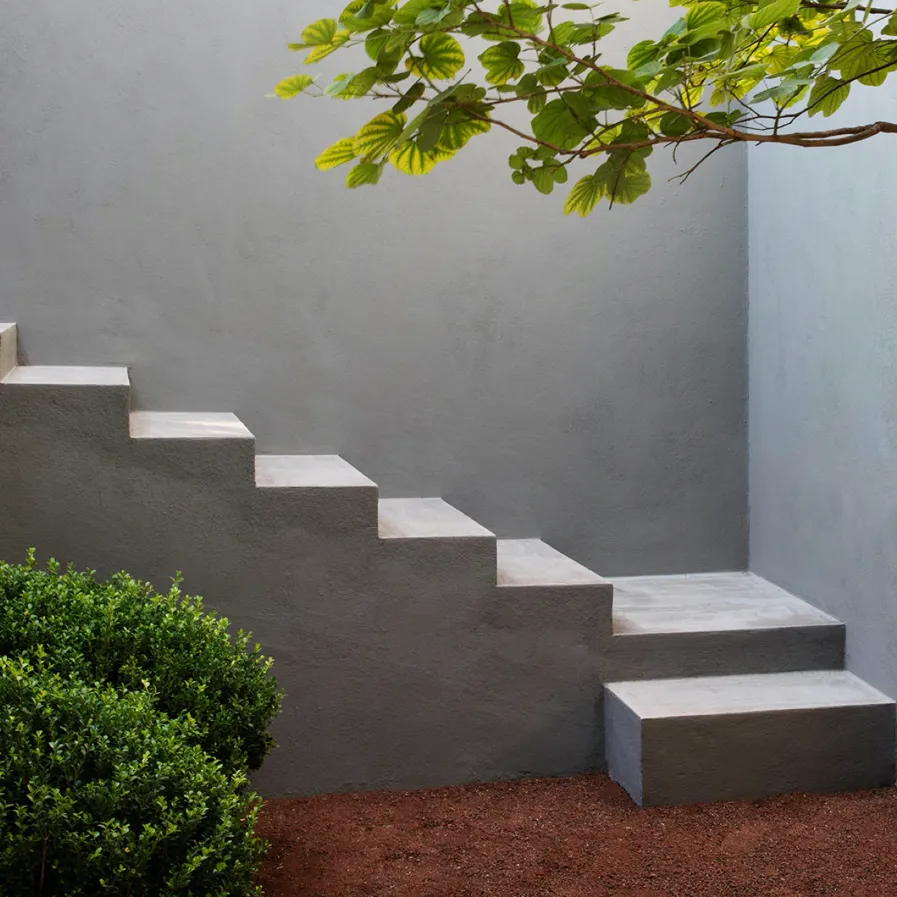 DD Max Von Werz 001 B