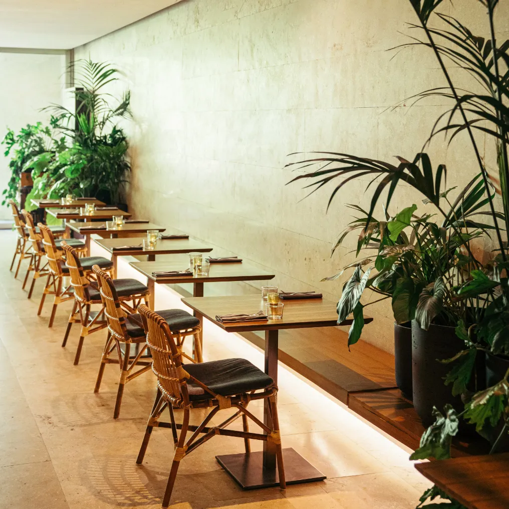 C Hotel And Spa Theme Box 01 Food And Drink 01