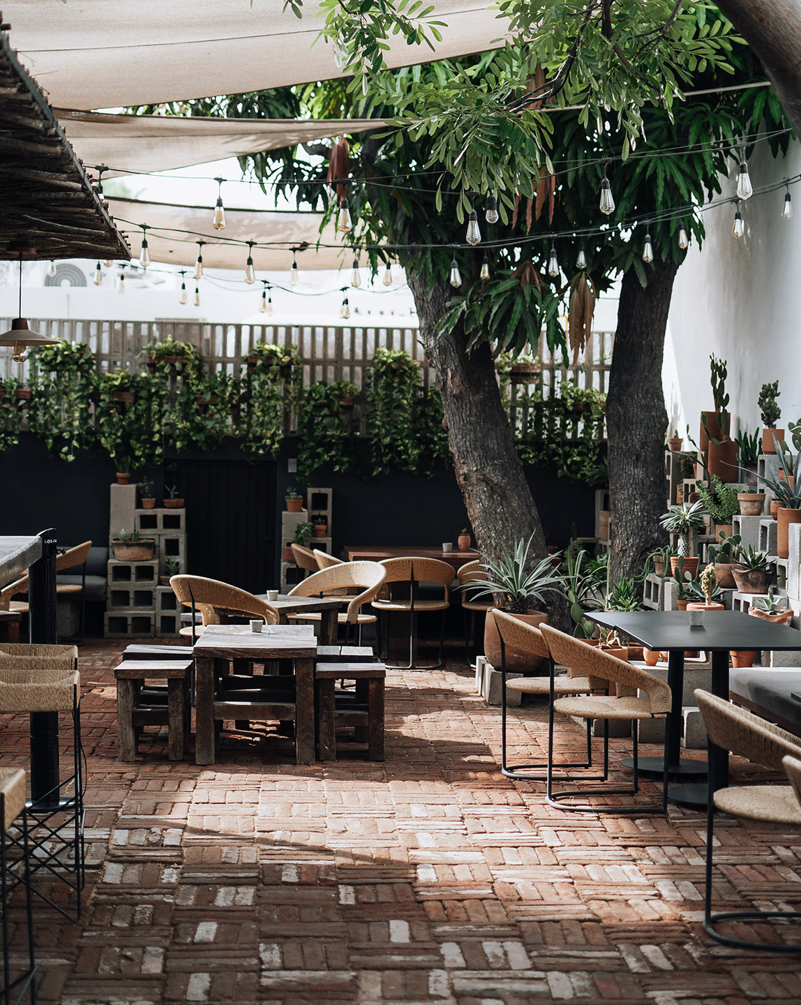 Drift San Jose del Cabo