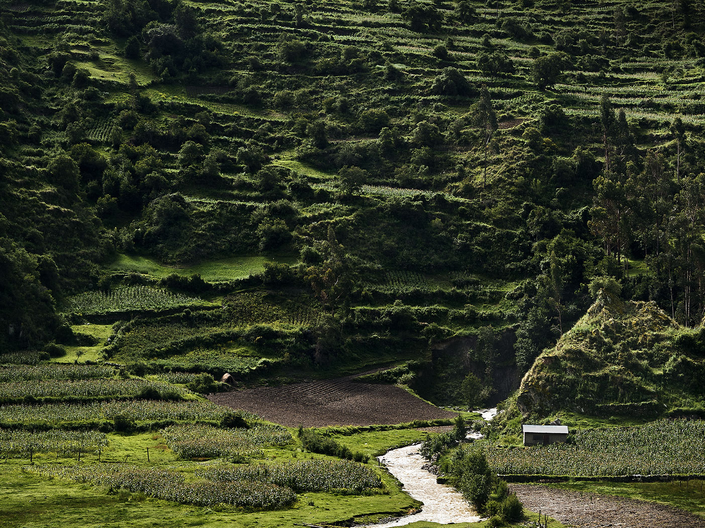 Pachamama S Land Part 1