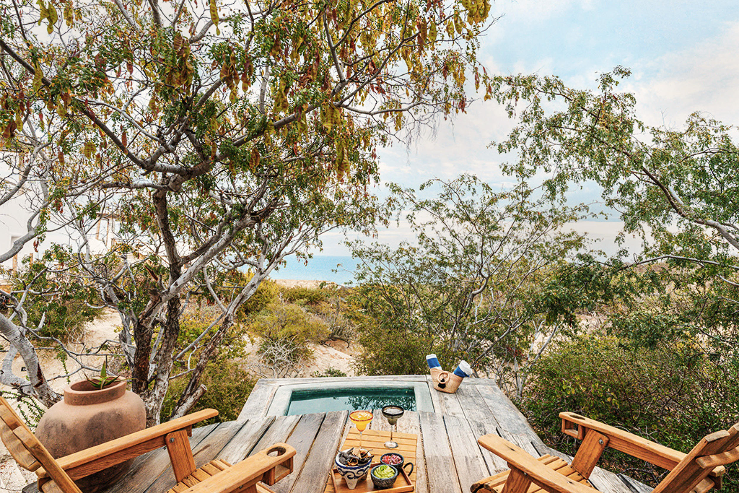 G 15 Nest Baja Mexico