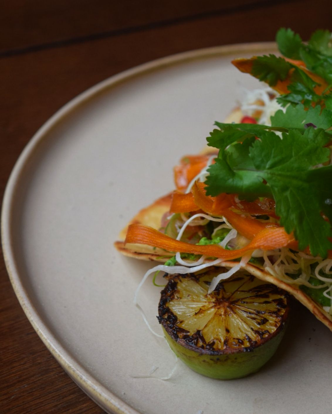 10 Blique By Nobis Indoor Outdoor Farming Dish