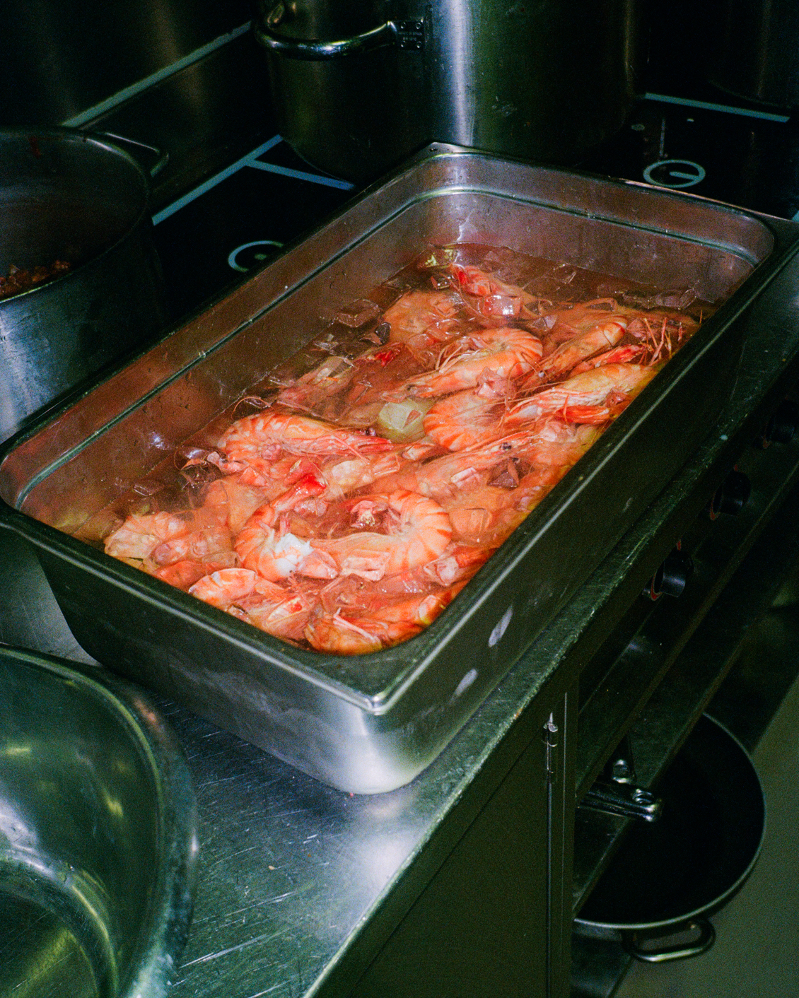 06 DH Culture A Love Beyond