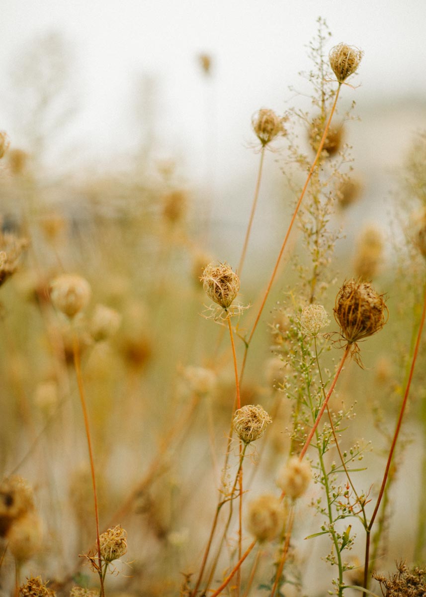 Arena Day 2 Funkhaus 20