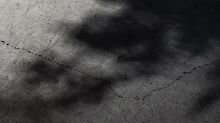 DH Japan Bullet Train 00 Header