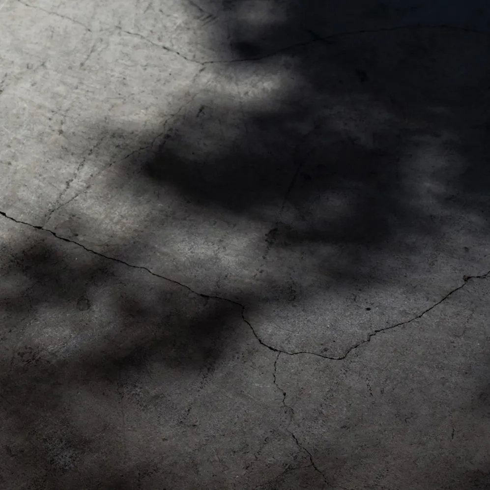 DH Japan Bullet Train 00 Header