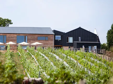 007 Biodynamics Vineyards Tillingham Vineyeards