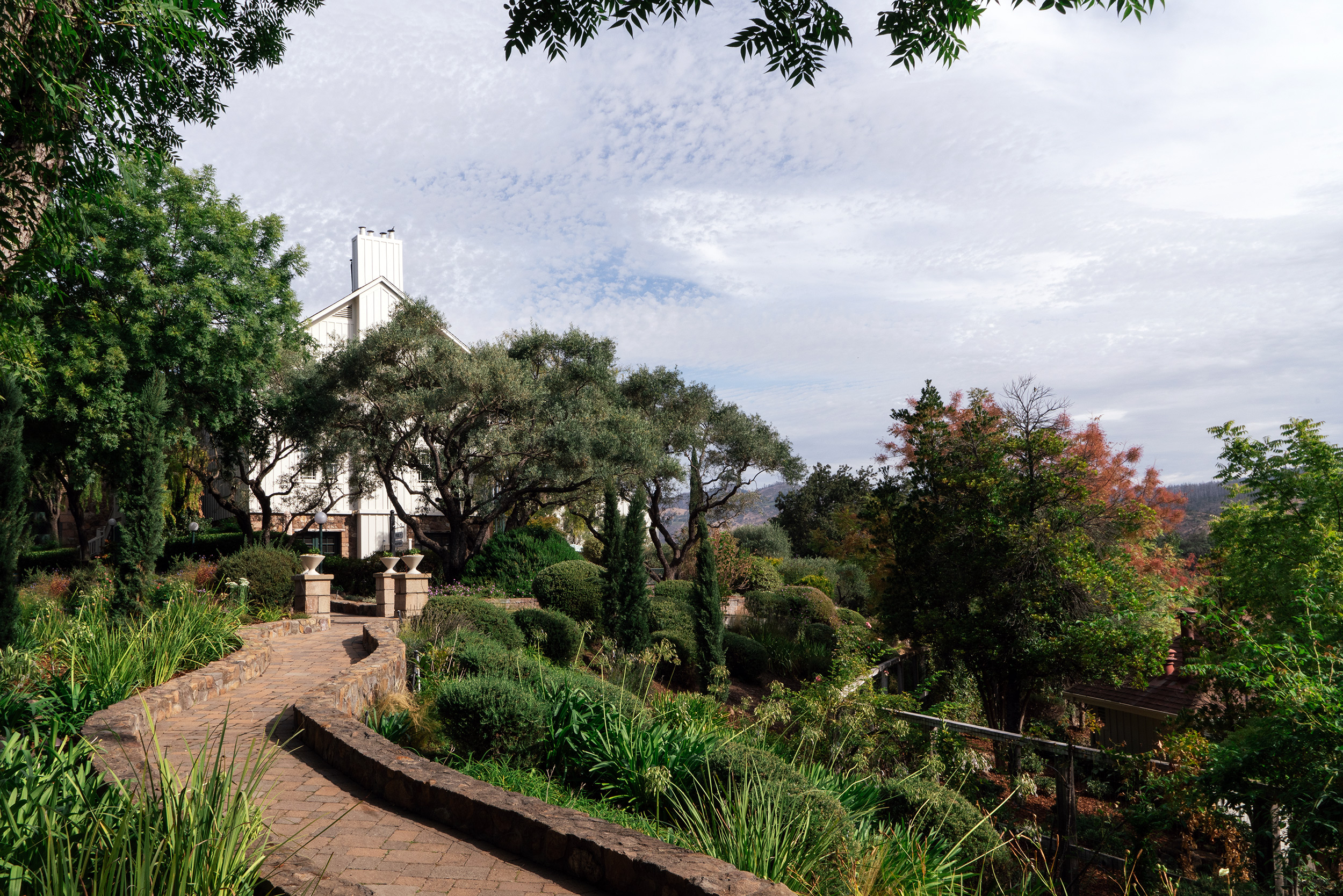 G 08 Le Petit Pali St Helena