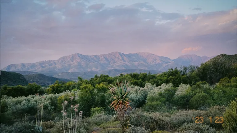 TGT Christian Naehtler 11