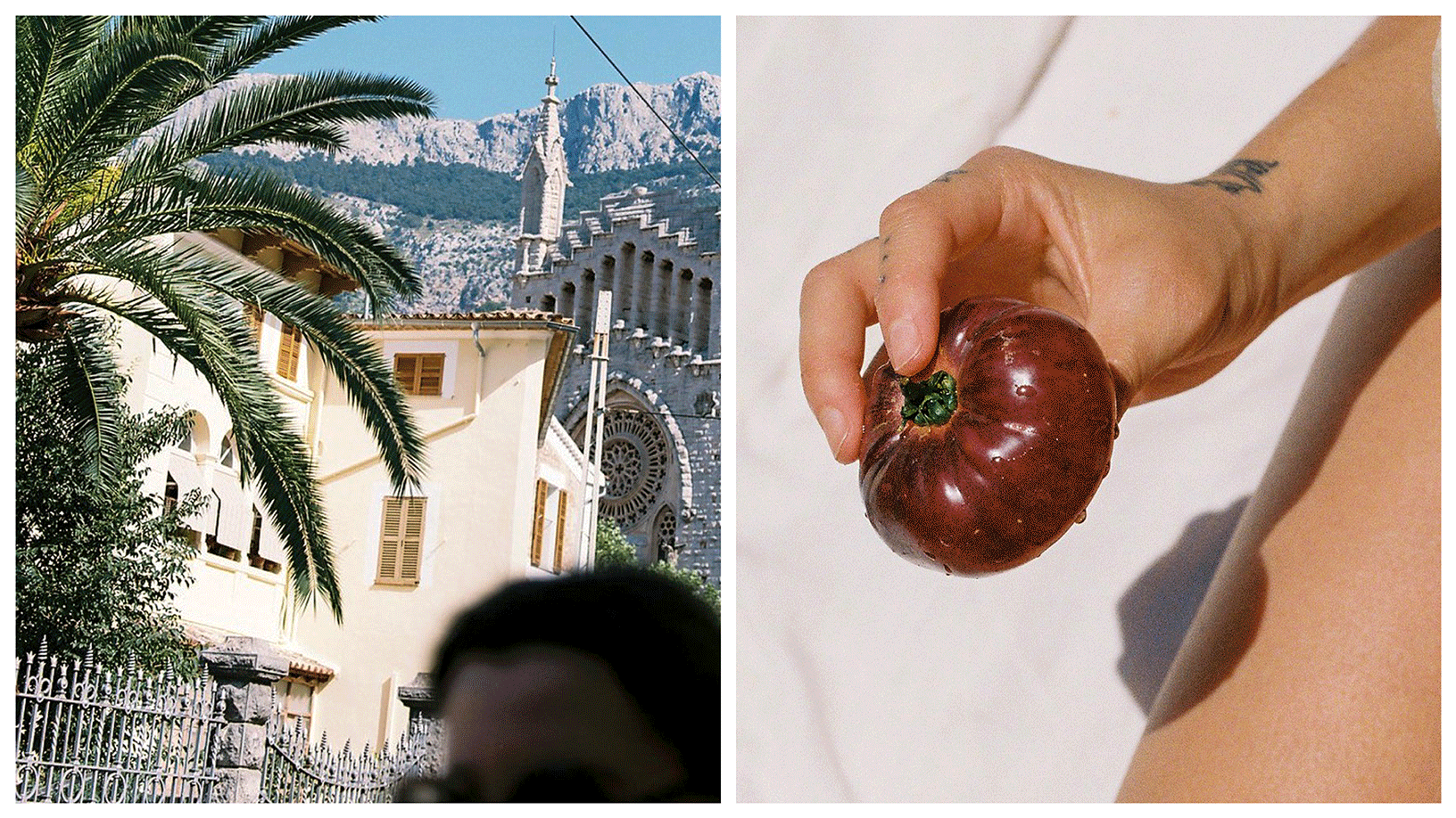 DH Arena 24 Web Theme Announcement Header 02 (1)