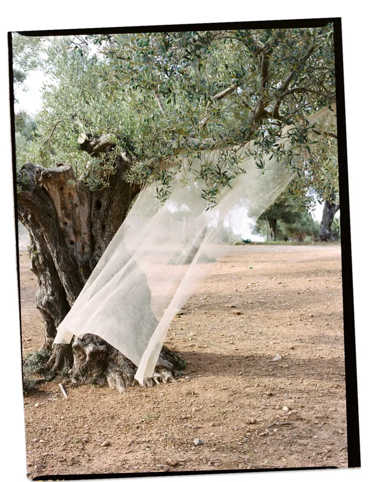 20 DH Culture Muses Of Now