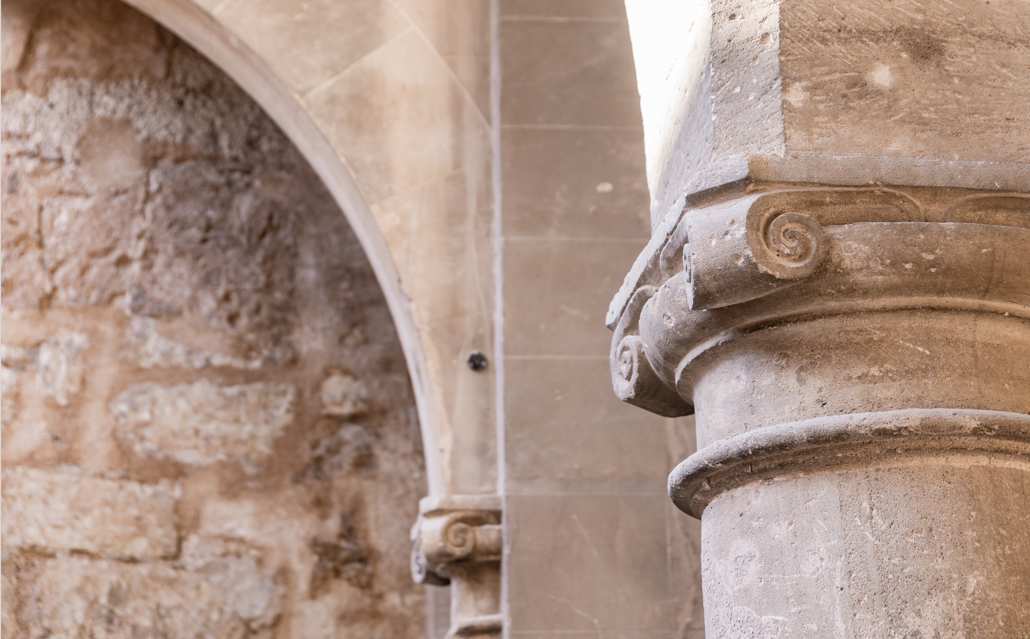 015 SP Nobis Palma Carousel 02 (1)