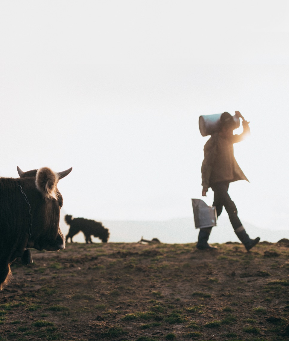 BP Cervo Panel Food Sustainability 05