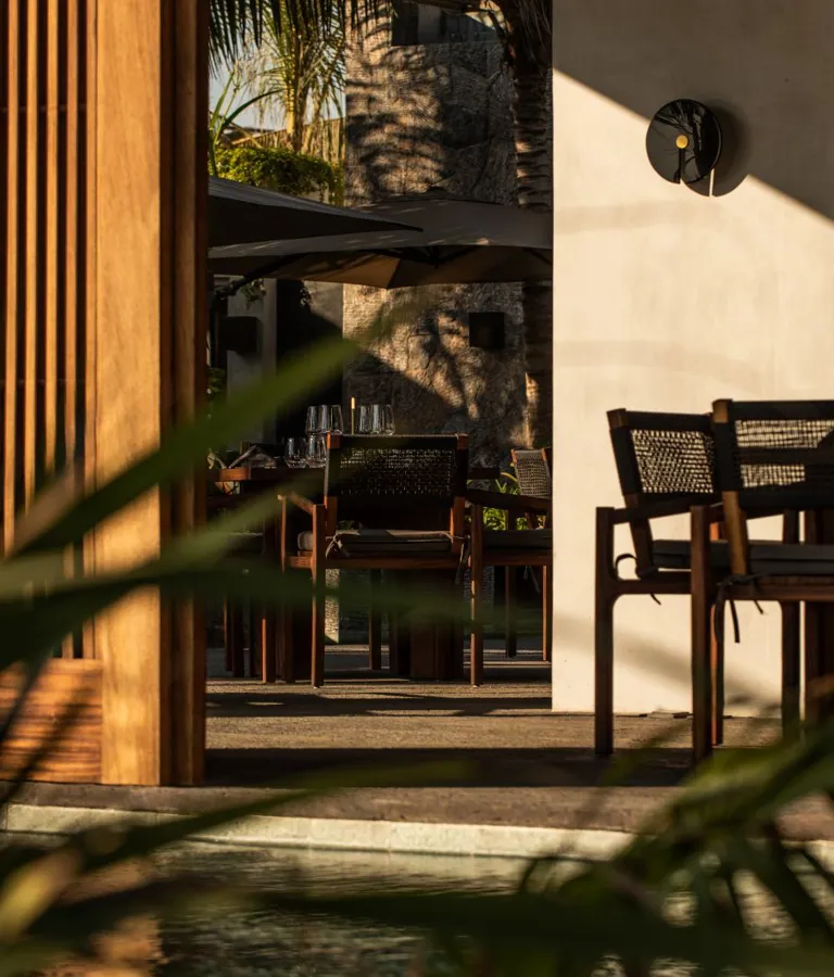 Musa Theme Box 01 Food And Drink