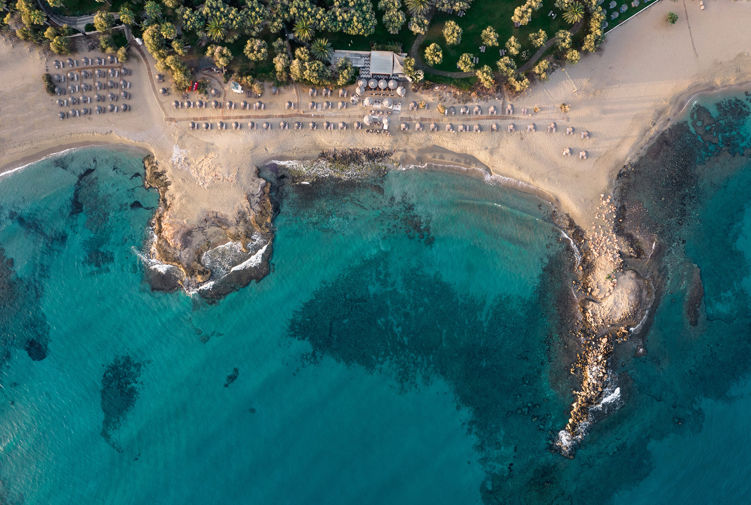 G 06 Phaea Cretan Malia