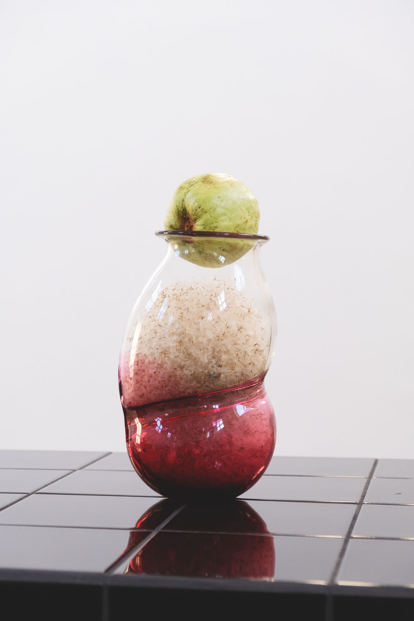 DH25 Sessions S Sydney Gallery 15