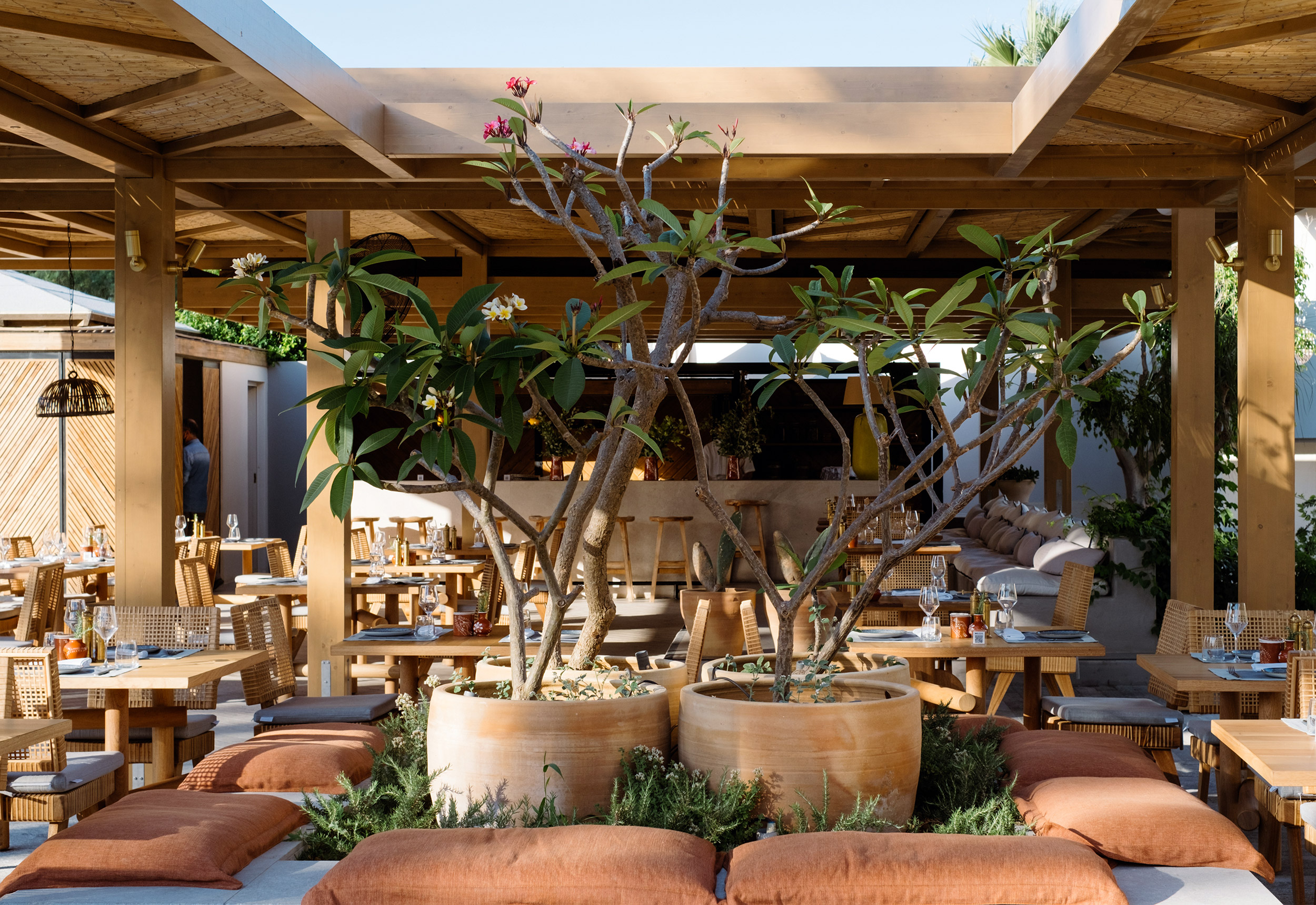 G 18 Phaea Cretan Malia