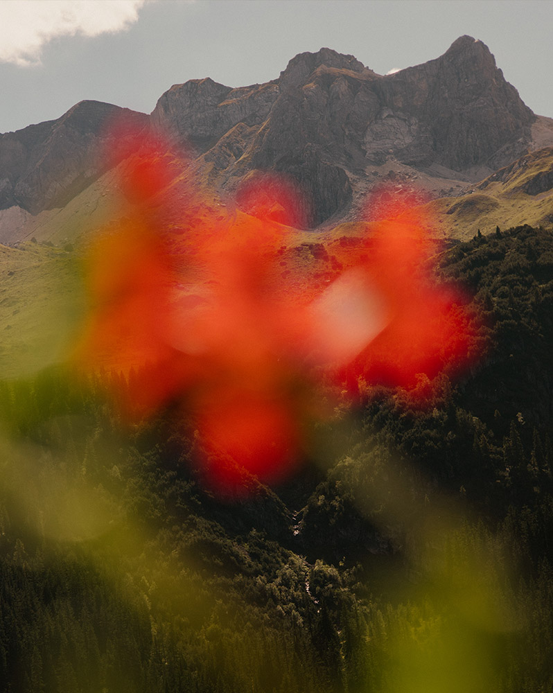 Teaser Gallery Instagram