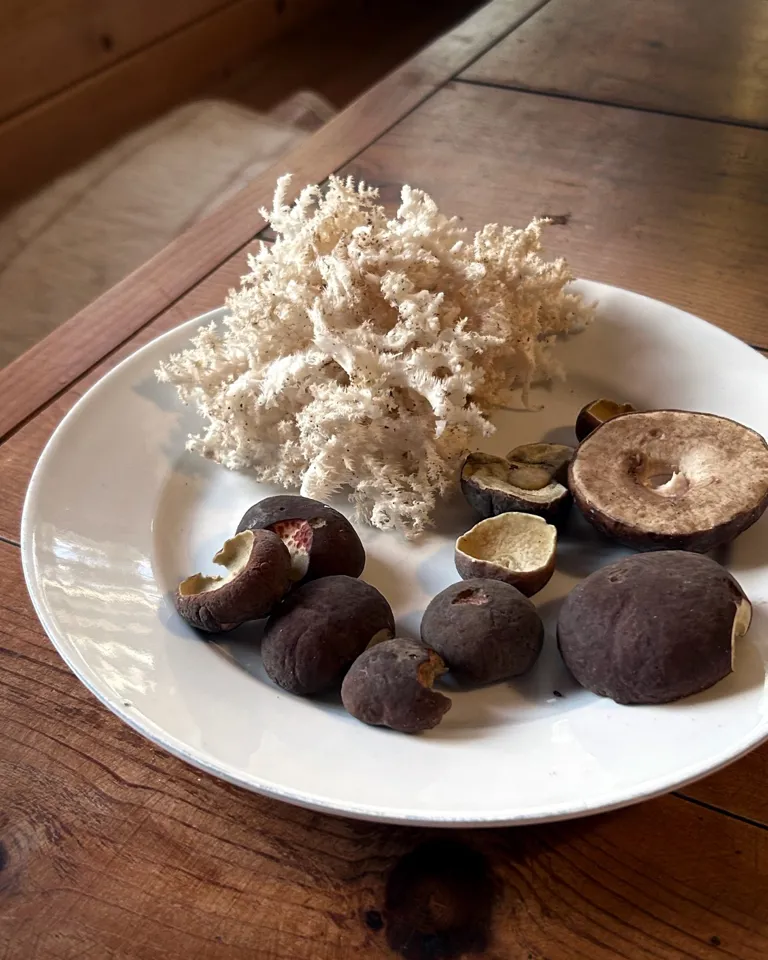 Journal Article Autumn 2023 07