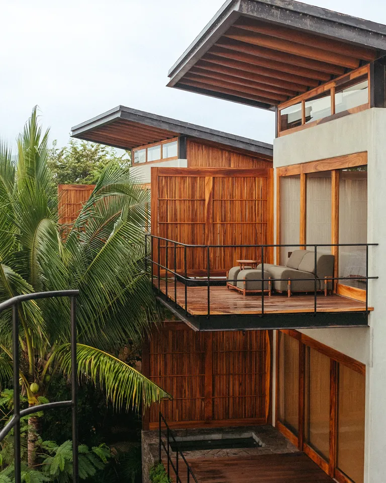 T Generic 01 Musa Guerrero Mexico