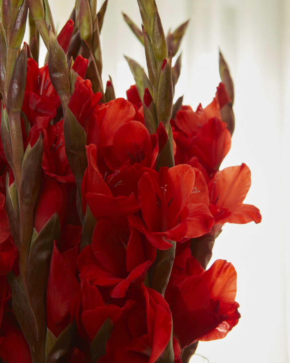 Happenings Florals Workshop At Charlotte Street Hotel