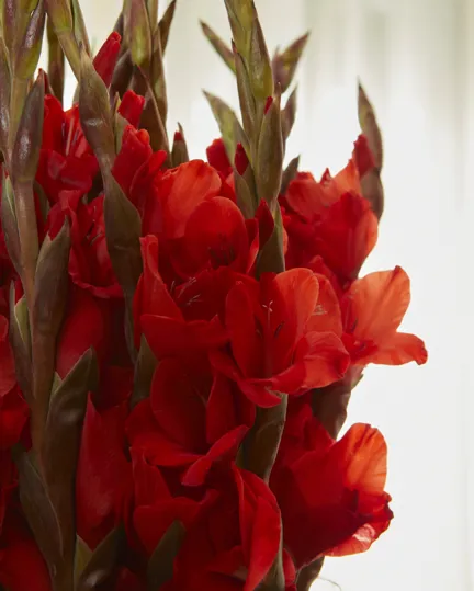 Happenings Florals Workshop At Charlotte Street Hotel