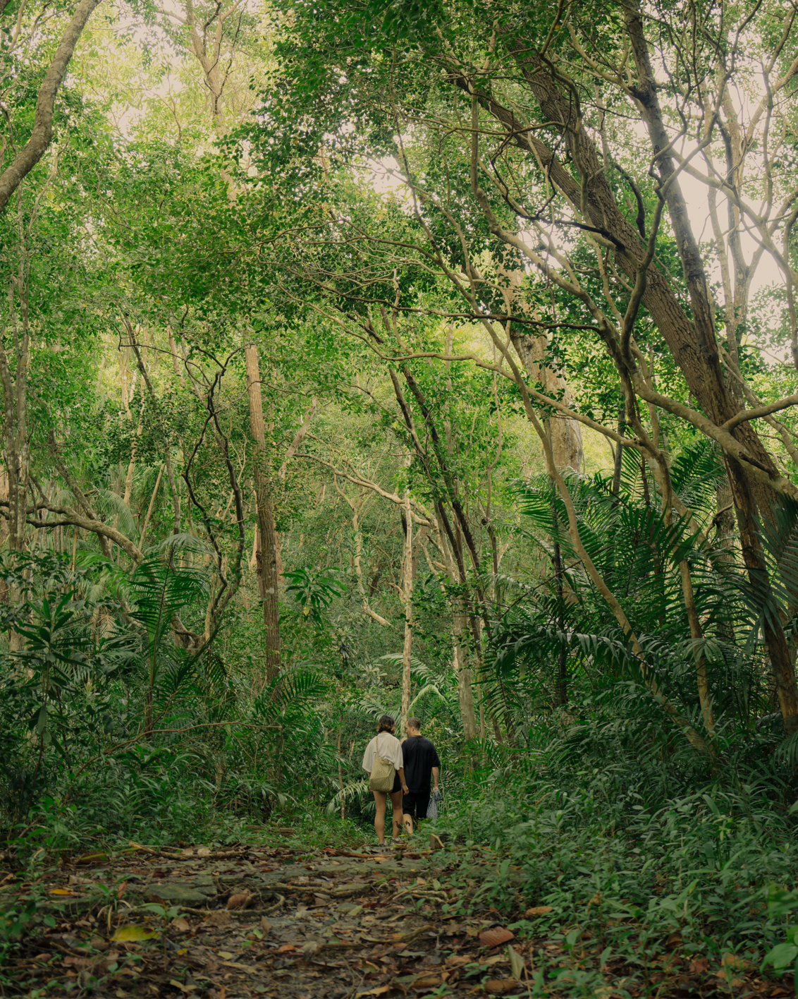 12B MBO Luma Highress