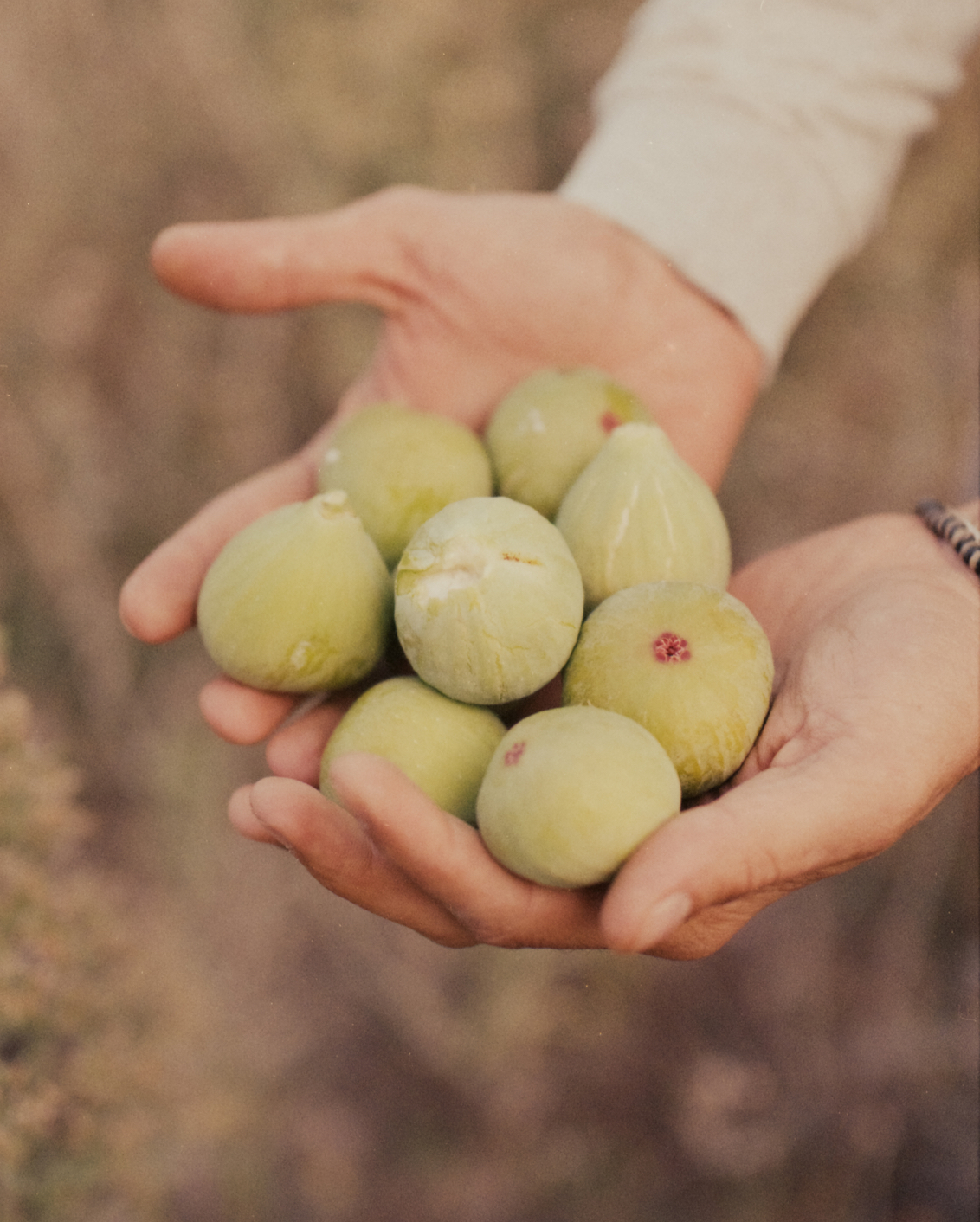 08A TGT Katie Mcknoulty