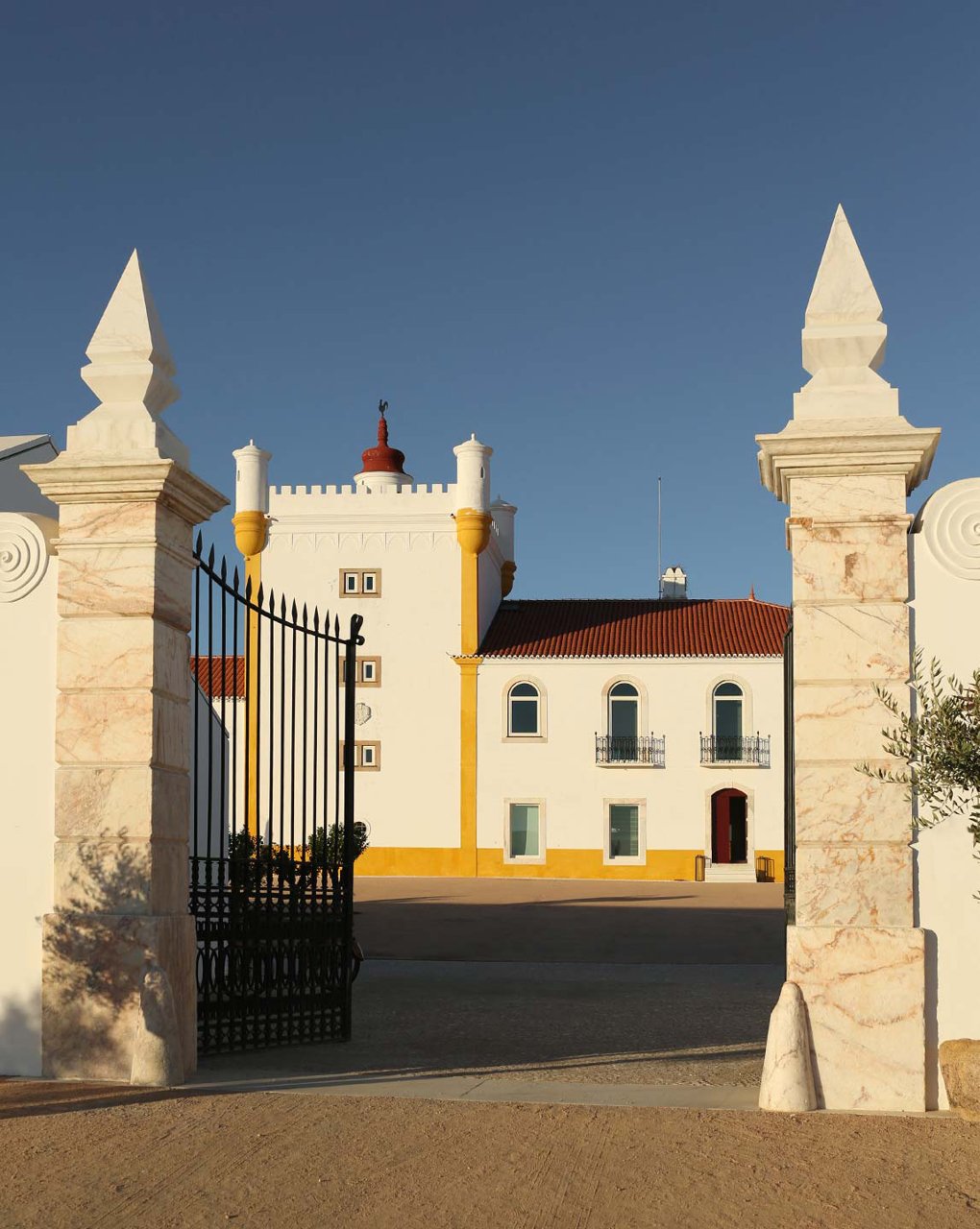 Mapa Vitivinícola de Portugal – Torre de Palma