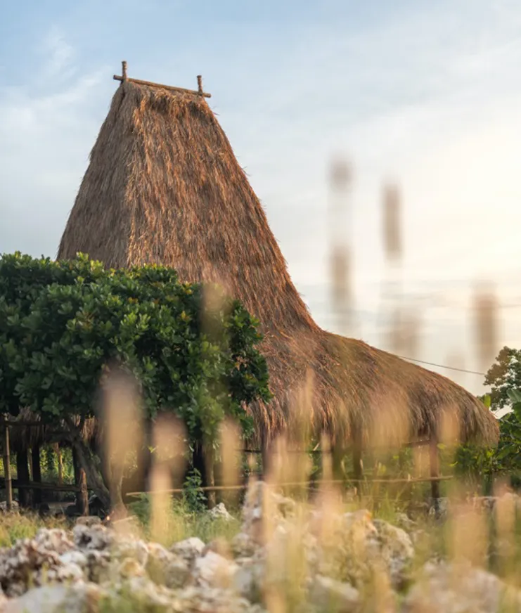 Microsoftteams Image (1)