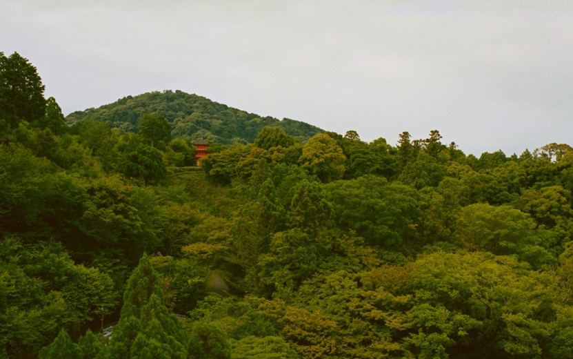 06 MBO Node Kyoto Forest Mountain Temple