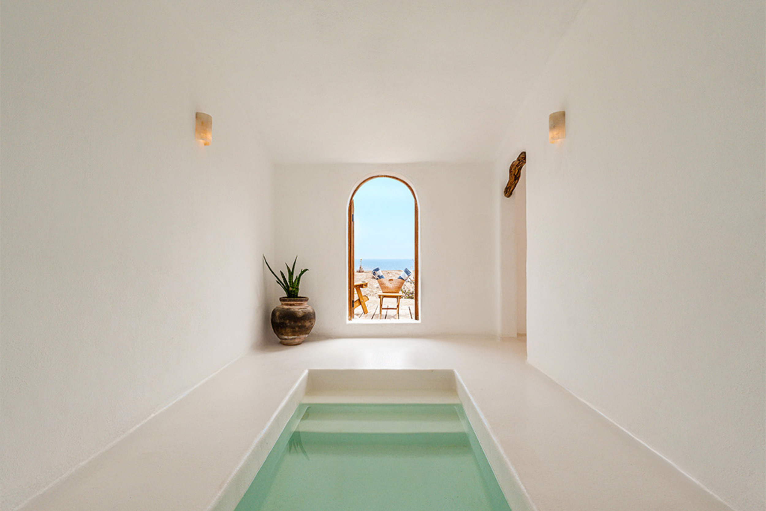 G 06 Nest Baja Mexico