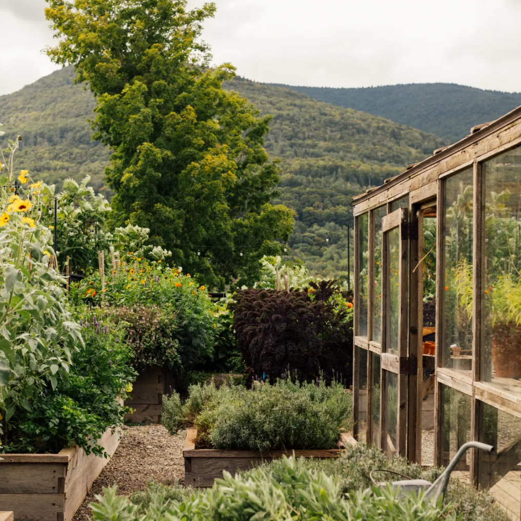 Scribners Catskill Lodge Theme Box 02 Food And Drink 02.3