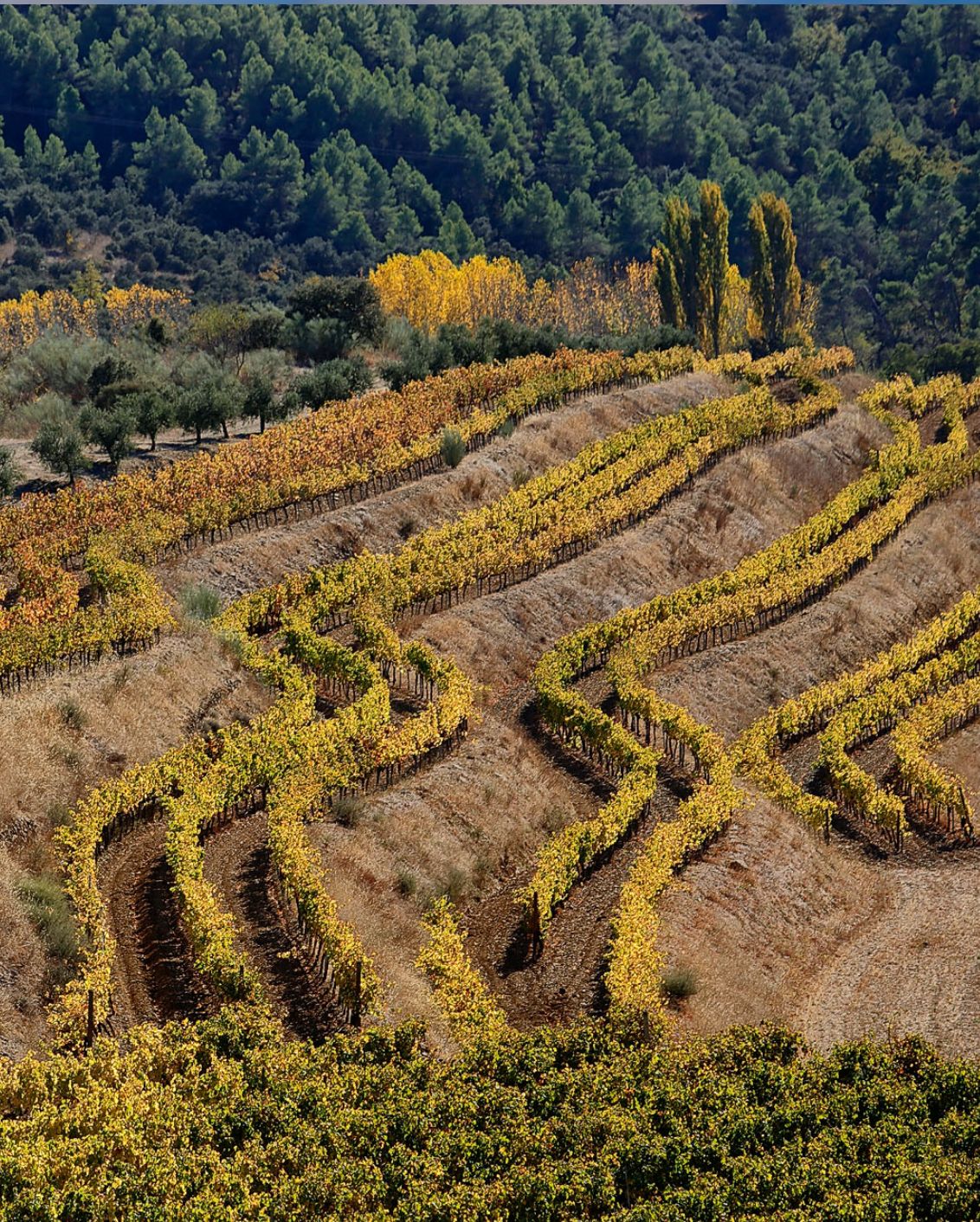 DH26 Journal Best Wine Hotels 20A