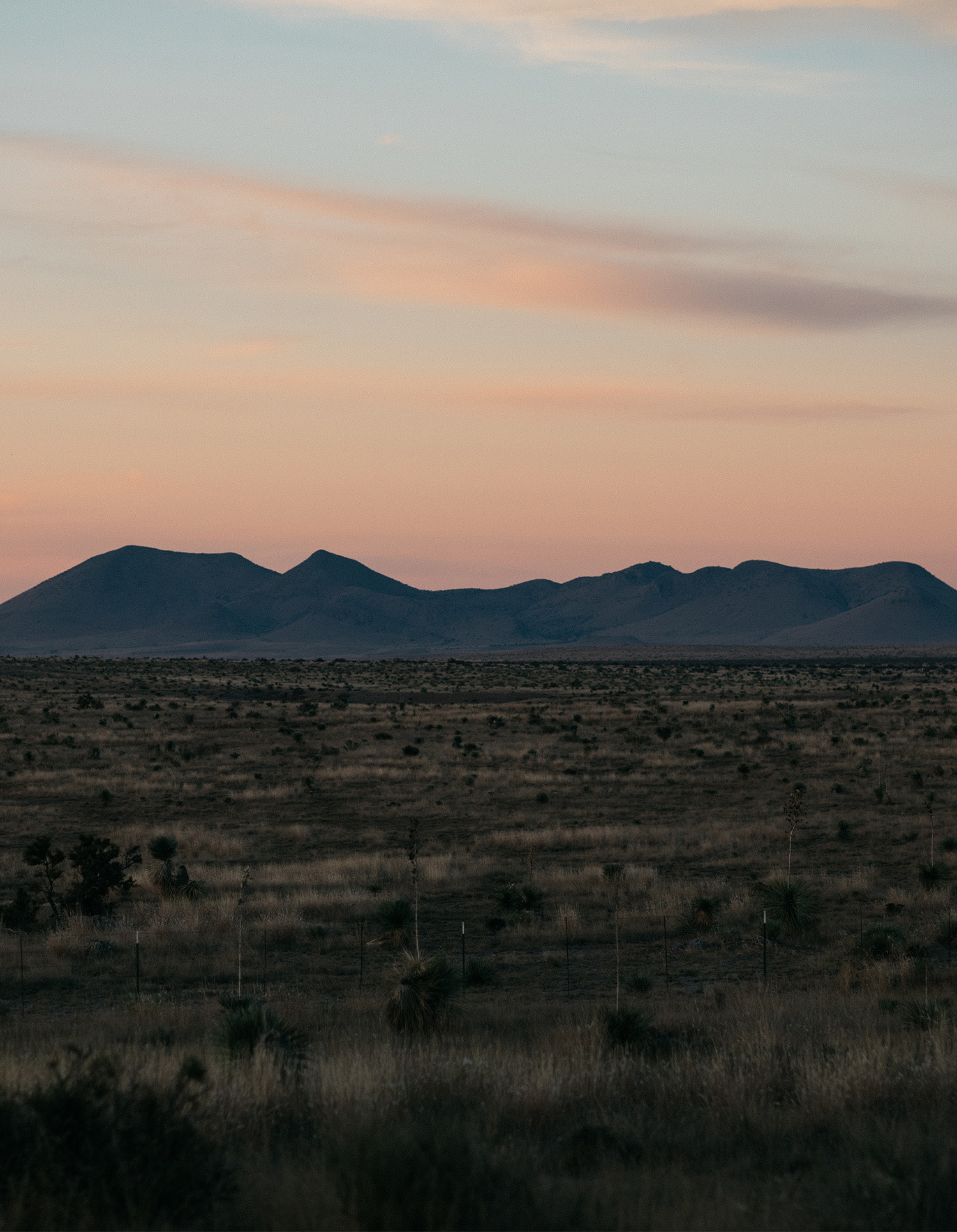 Subpage Gallery Marfa 03