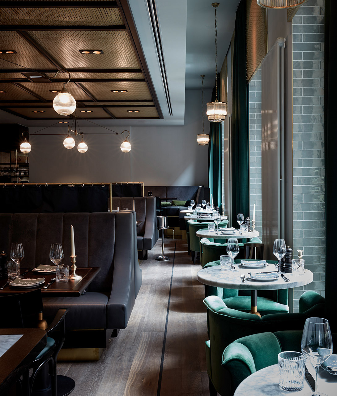 DH Trending Offers Tortue Hamburg