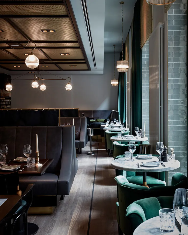 DH Trending Offers Tortue Hamburg