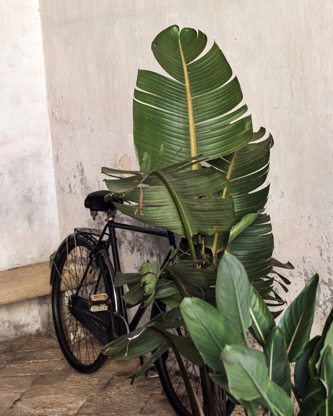 11 Trippin Slow Travel