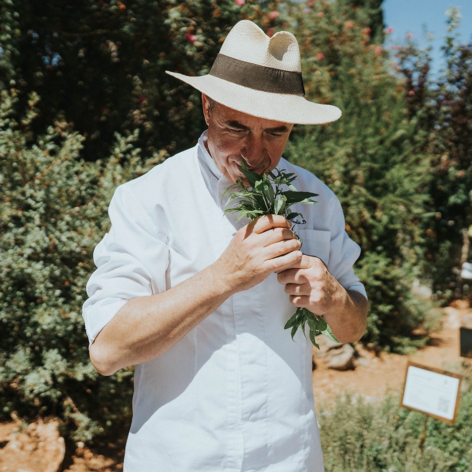 Dh Community Blog Cretan Malia Park Culinary Chronicles Chef Lefteris Iliadis