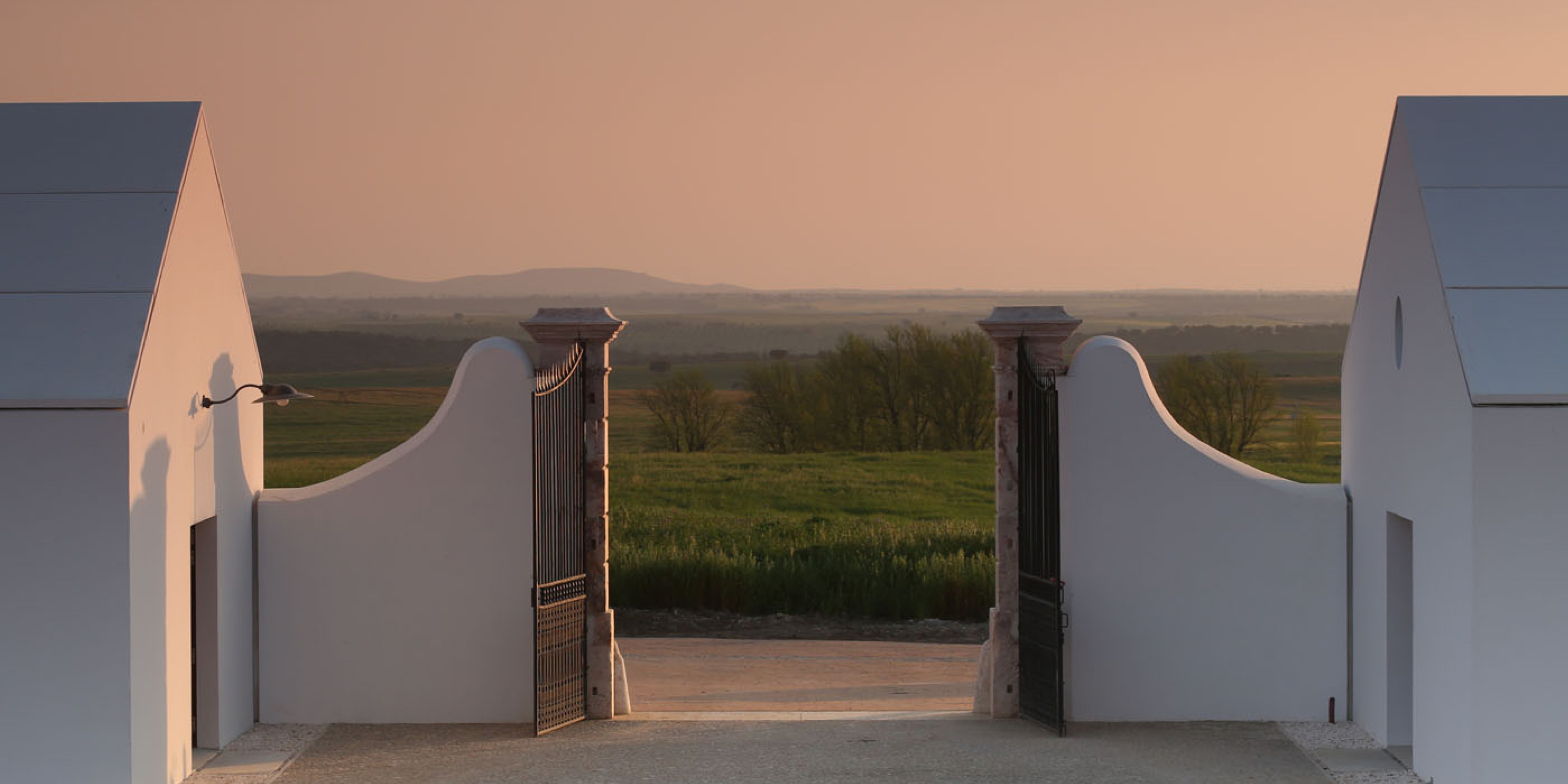 001 Biodynamics Vineyards Header