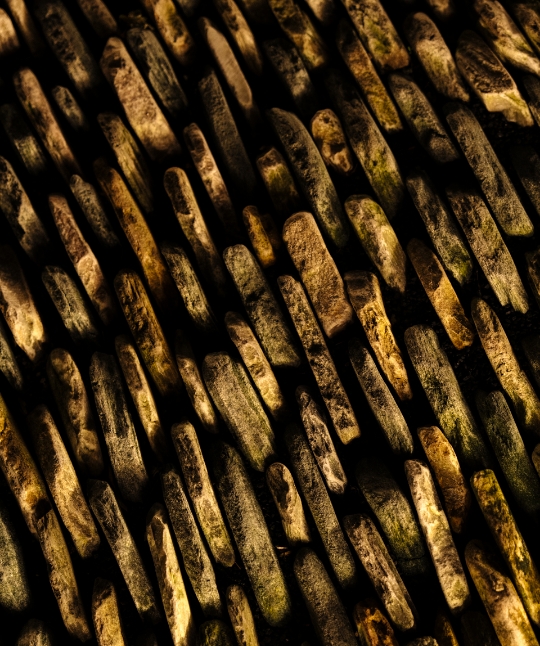 Journal Article Monastic 20