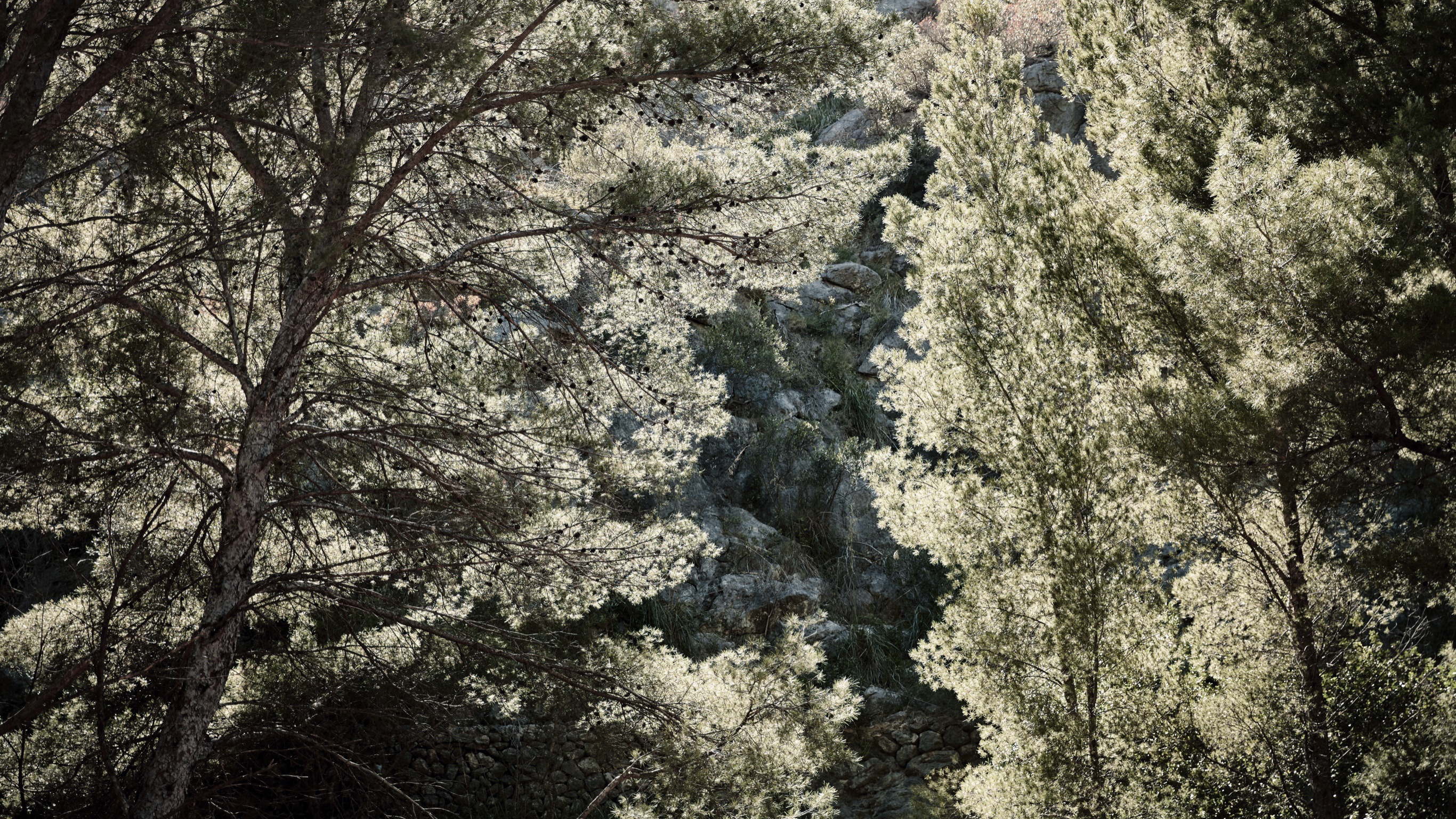 BP Walking Meditation 06